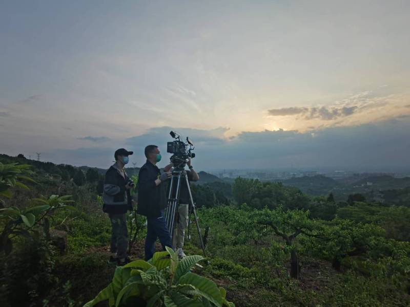 创意破圈！南城县电商产品宣传视频用故事化叙事引爆流量