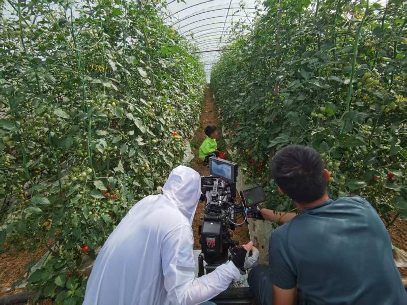 南城县产品宣传视频拍摄公司进阶指南，助力品牌抢占传播高地